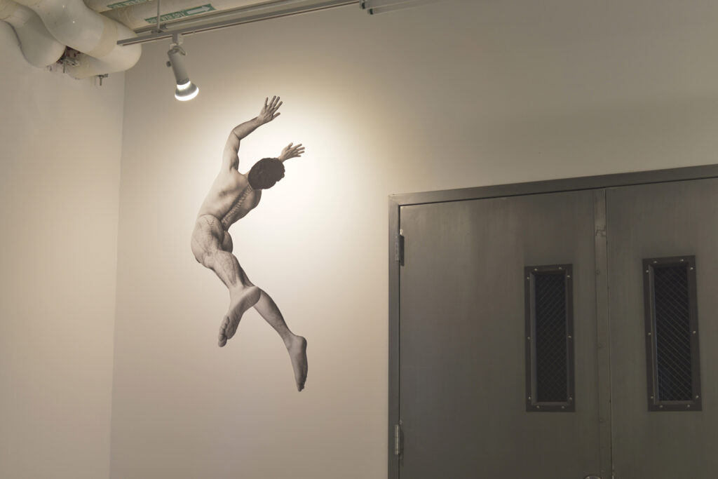 Photography mfa programs image